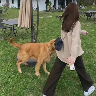 水中的女人