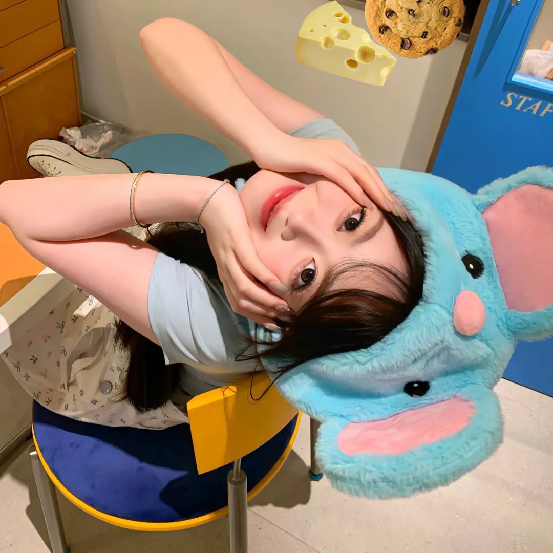 老狐狸