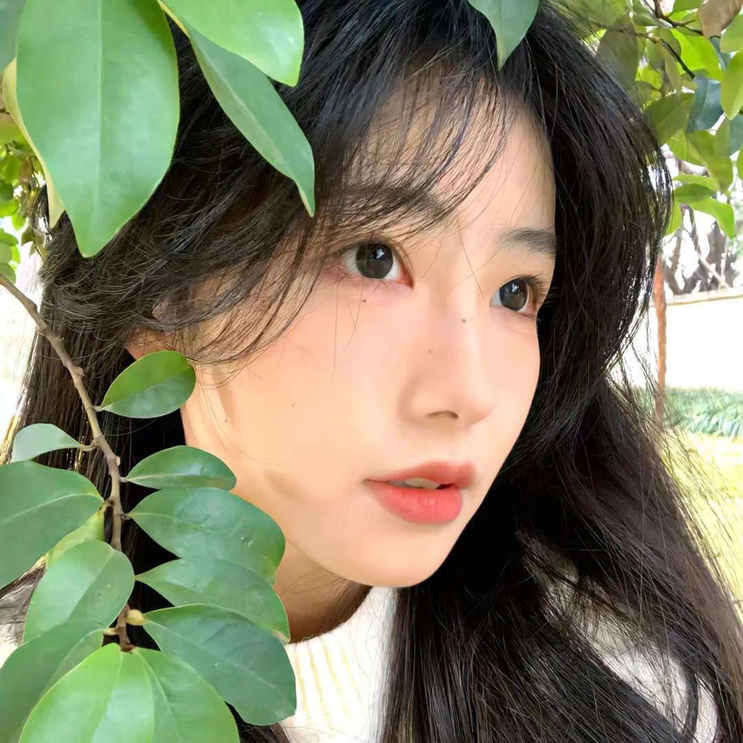 爱情冒险家
